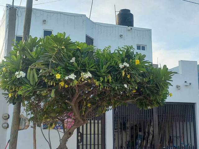 #163 - Casa para Venta en Mazatlán - SL